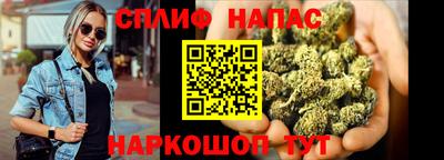 спиды Кингисепп