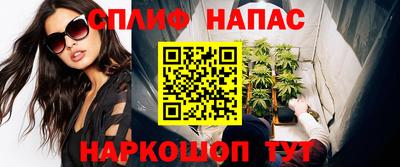 спиды Кингисепп