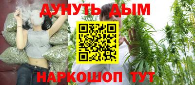 спиды Кингисепп