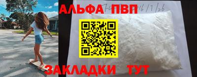 спиды Кингисепп