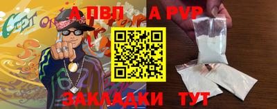 спиды Кингисепп