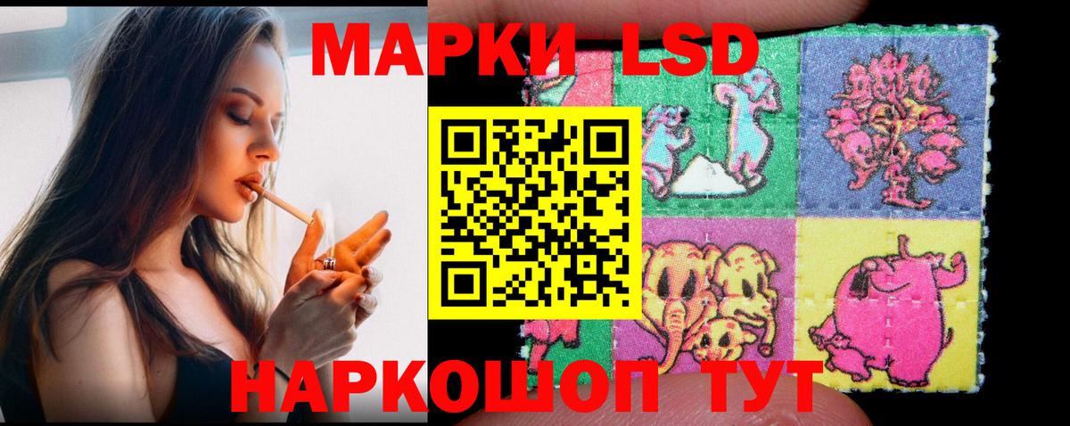 блэк спрут ссылка  Вход с VPN  LSD-25 экстази  LSD-25 экстази кислота  Королёв  Лсд 25 экстази кислота 