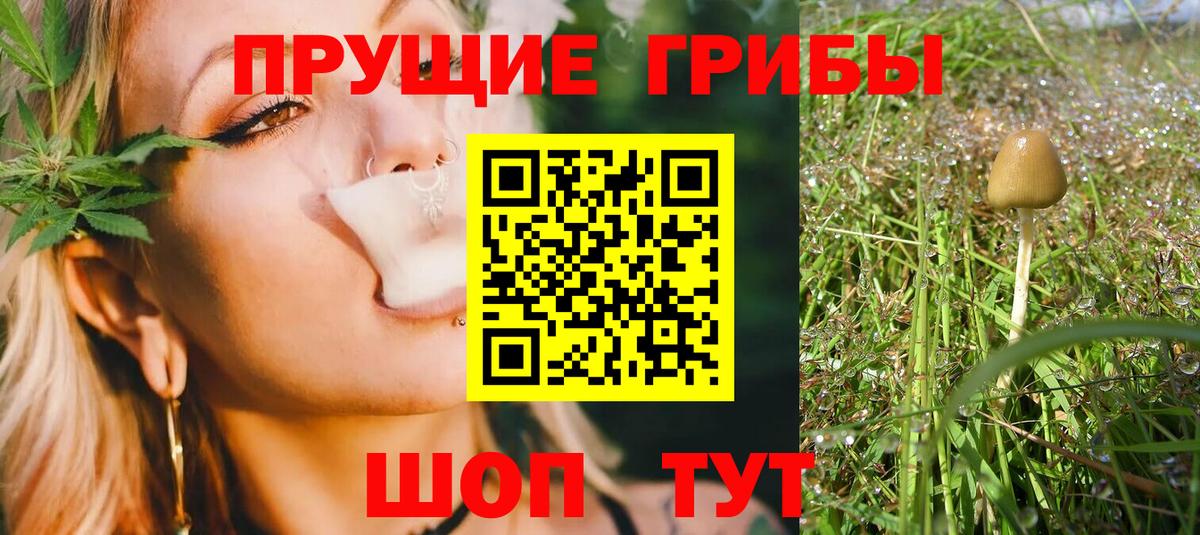 закладки  Галлюциногенные грибы Psilocybe  Вход с VPN  Королёв 